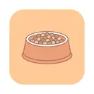Feeding uncertainty Pet food bowl icon